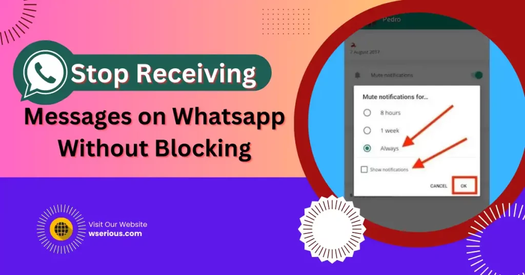 Stop Receiving Messages on Whatsapp Without Blocking